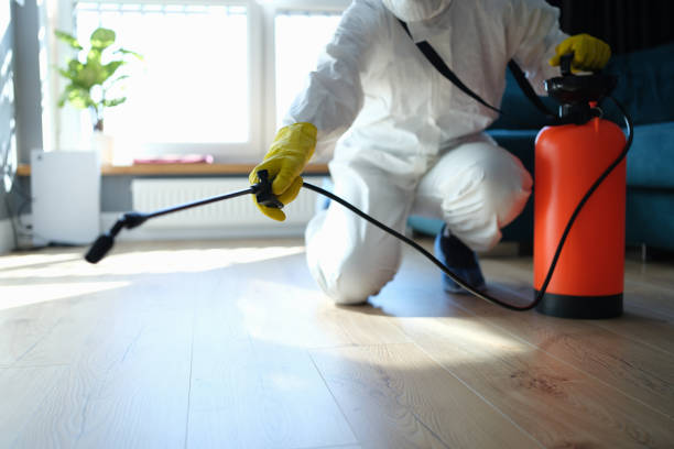 Reliable Odor Removal contractor in Covington, GA by Dulley Family Biohazard Services